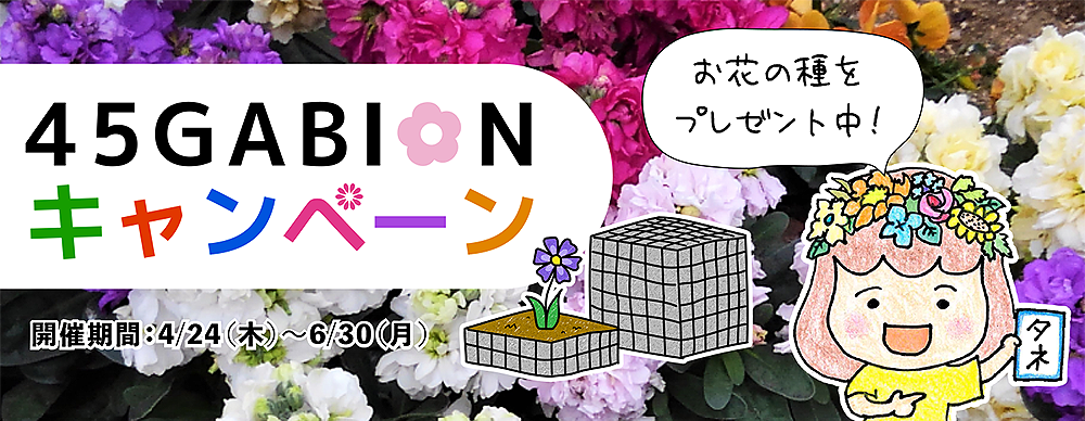 45GABIONキャンペーン