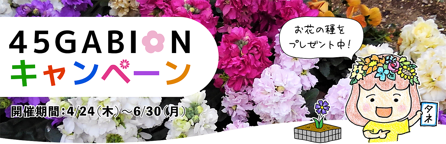 45GABIONキャンペーン